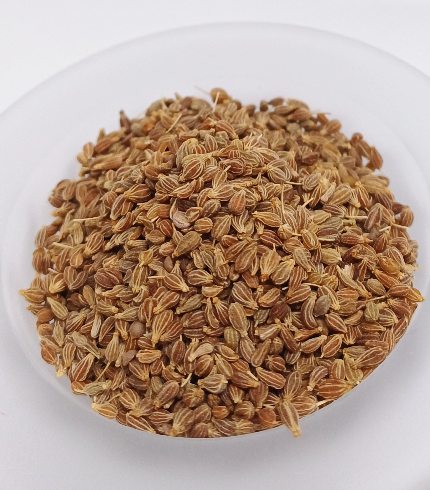 ANICE VERDI SEMI (Pimpinella anisum)