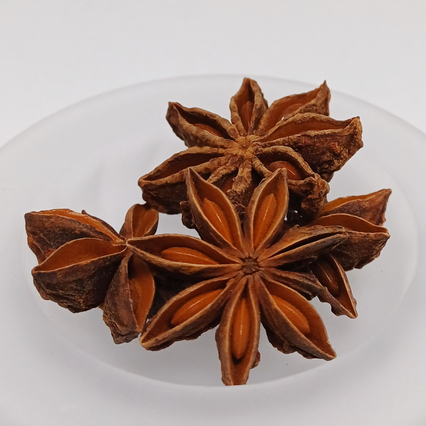 ANICE STELLATO INTERO PRIMA QUALITA’ (Illicium verum)