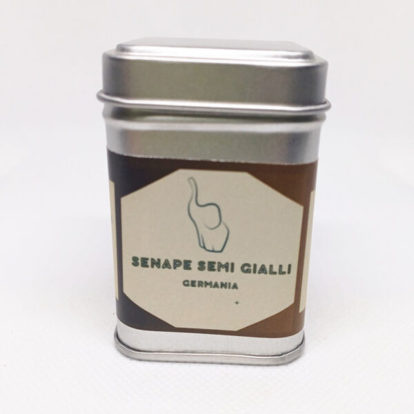 SENAPE SEMI GIALLI (Sinapis alba)
